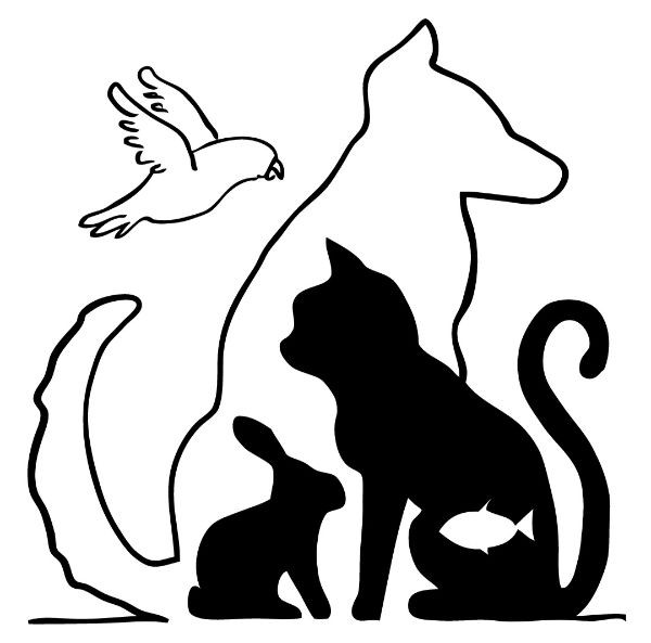 Eazy Breezy Pet Care LLC logo